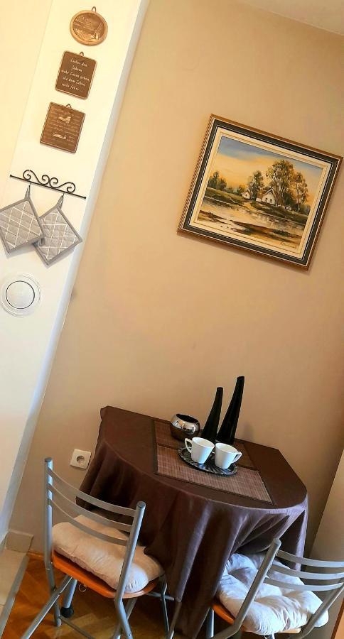 Apartament Skalar Studio Nowy Sad Zewnętrze zdjęcie